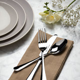 Tala Performance Stainless Steel Serving Spoons - set of 2