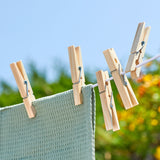 Elliott Pinewood Pegs 36 Pack