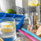 Tala Silicone 6 Hole Ice Cube Tray 2 inch Cubes