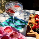 Tala 6 Hole Strawberry Ice Mould