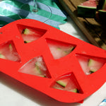 Tala 6 Hole Watermelon Ice Mould