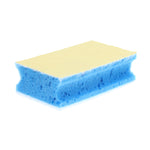 Sorbo Extra Large Sponges